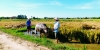 Farming and Fishing Life Experience (Small Group Bicycle Tour)