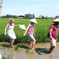 Wet Rice Growing Experience ( small group bike tour )