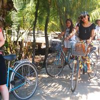 Farming and Fishing Life Experience (Small Group Bicycle Tour)